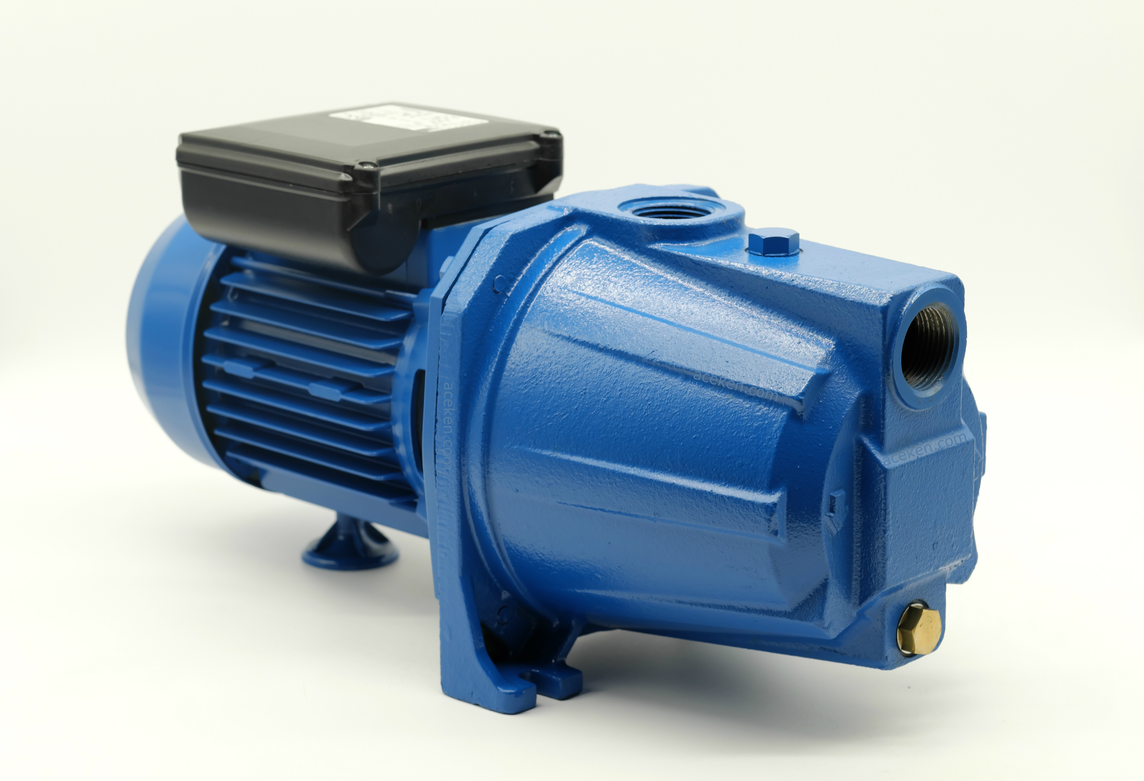 Self Priming Pump