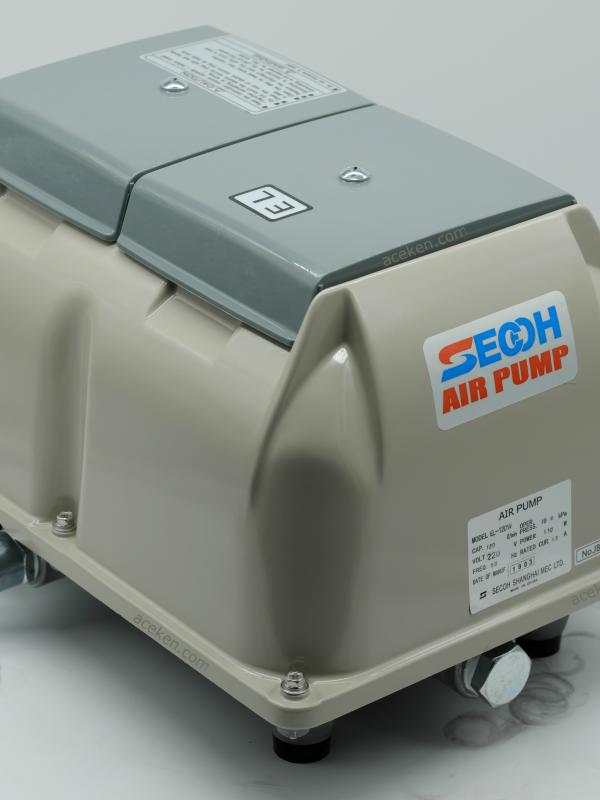 Air pump